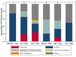 Figure showing the total number of samples and the percentage of positive virus tests per quarter for symptomatic index cases.